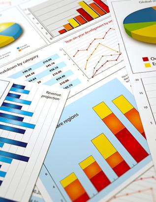 Advisory Services 